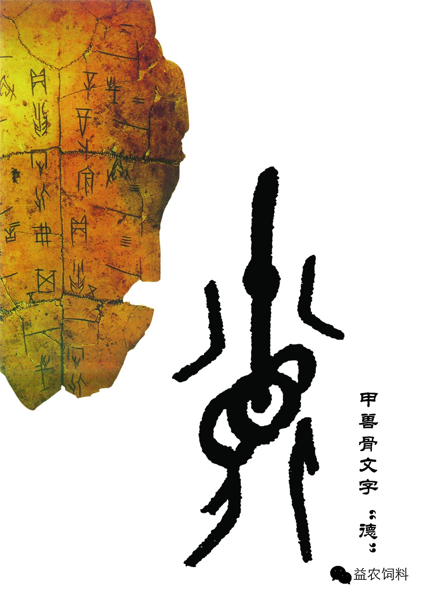 刘鸿杰▌甲骨文德字心悟