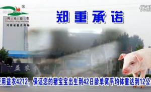 益农饲料有限公司广告