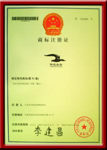 河南bwin电脑版商标注册证