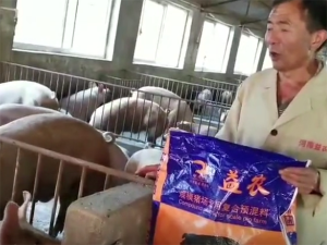 我为益农暴长王代言