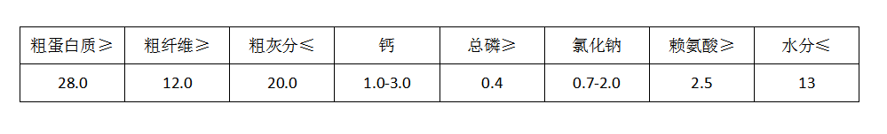 靓点-50