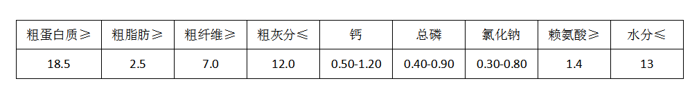 靓点-100